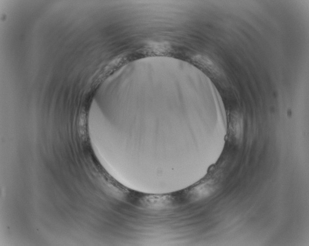 X0000062850526200602031630