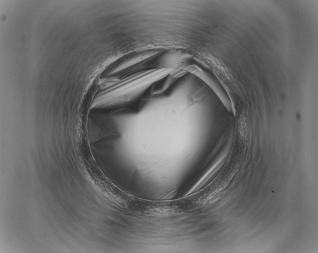 X0000062850540200602031629