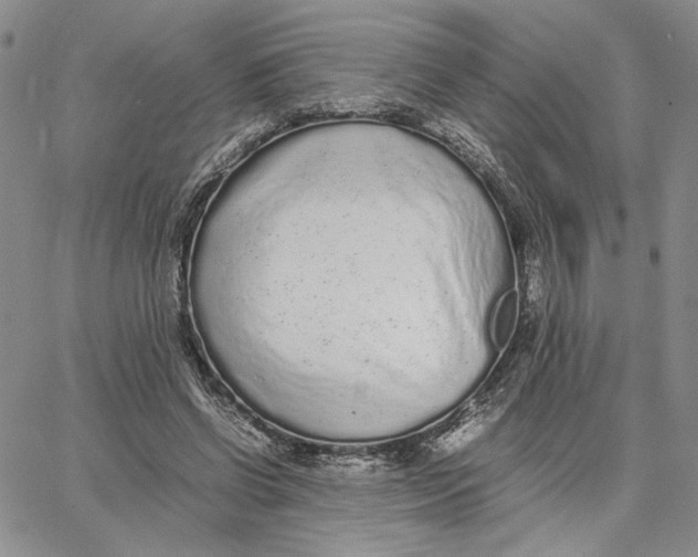 X0000062850542200602031629