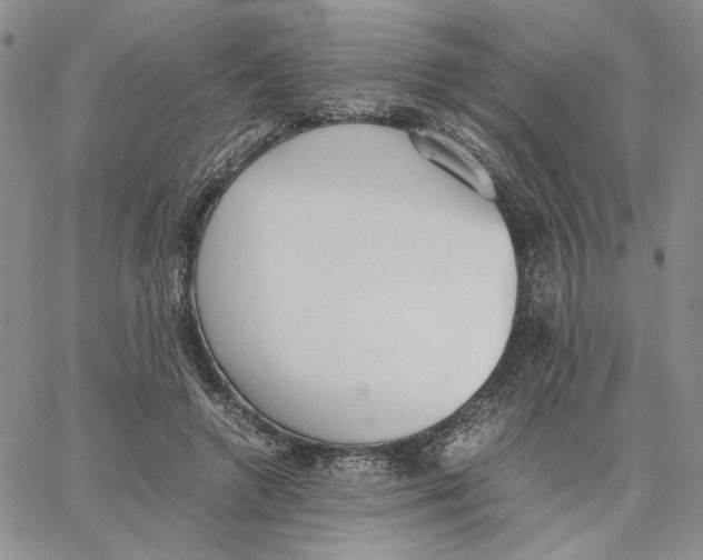 X0000062850546200602031629