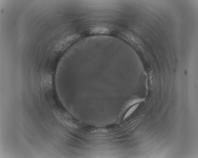 X0000062850551200602031629