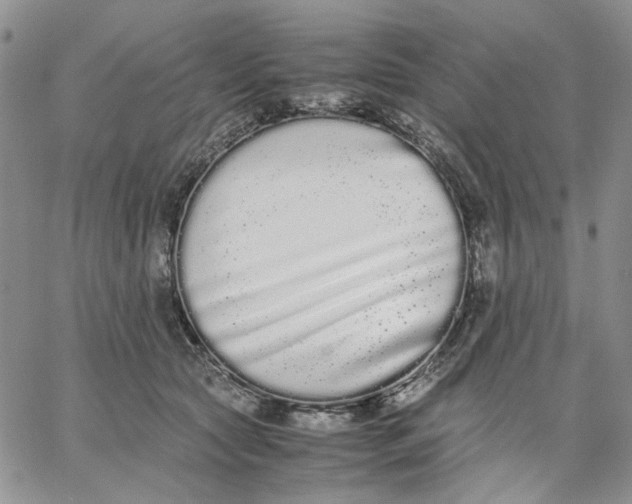 X0000062850561200602031629