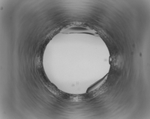 X0000062850564200602031630