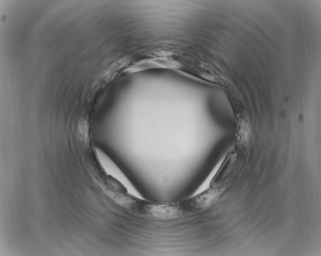 X0000062850568200602031630