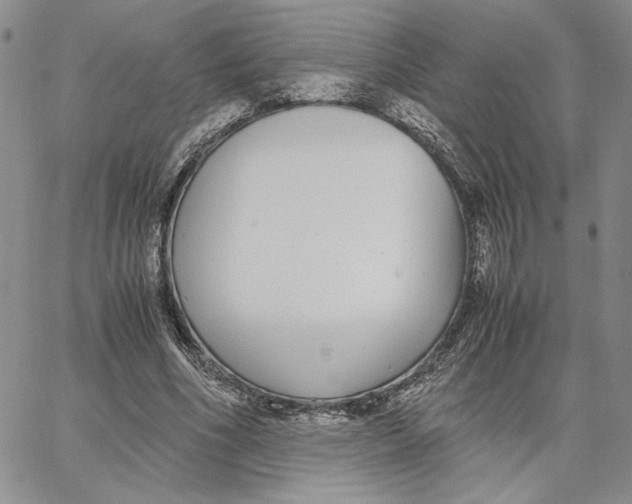 X0000062850586200602031629