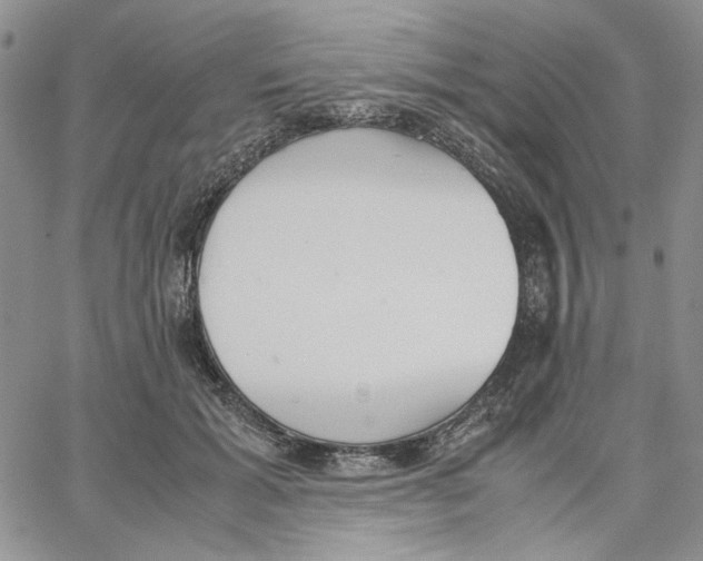 X0000062850605200602031628