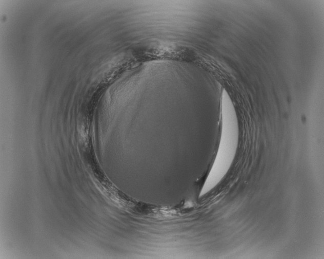 X0000062850607200602031628