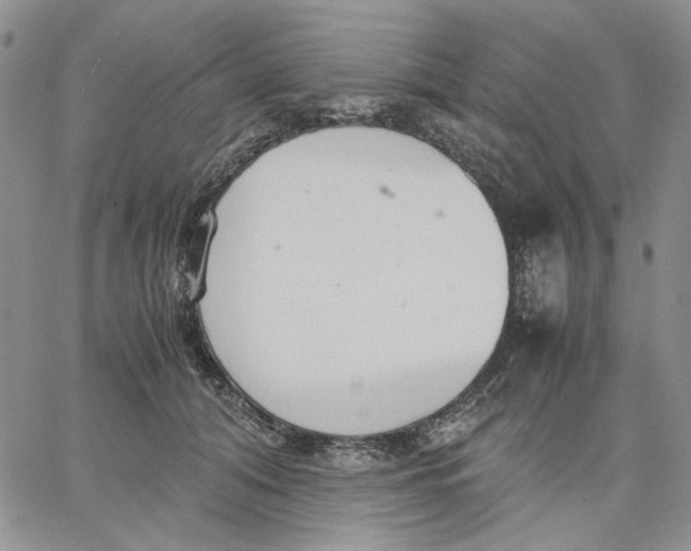 X0000062850608200602031628