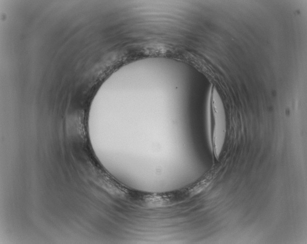 X0000062850616200602031628
