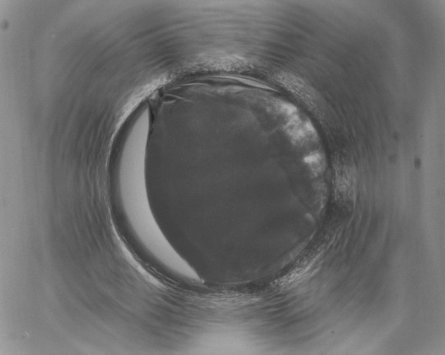 X0000062850630200602031627