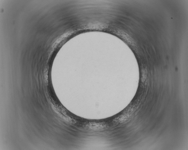 X0000062850632200602031628