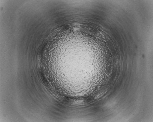X0000062850651200602031628