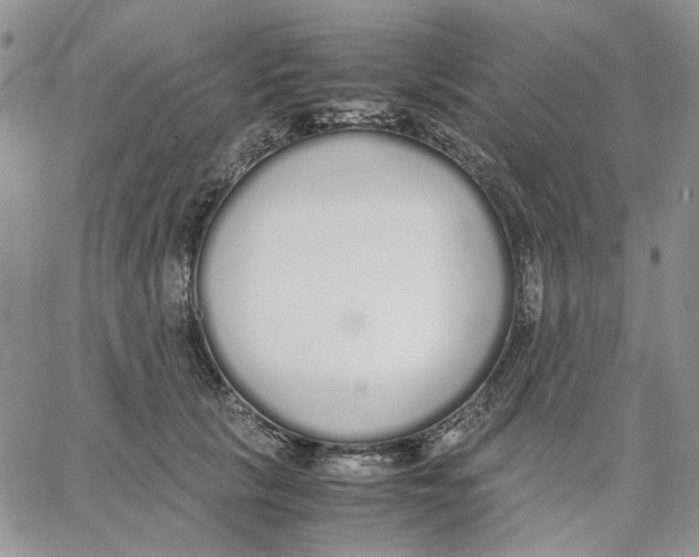 X0000062850657200602031628