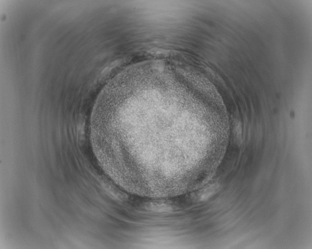 X0000062850668200602031628