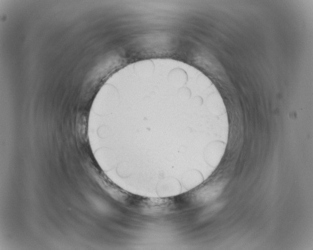 X0000062850672200602031628