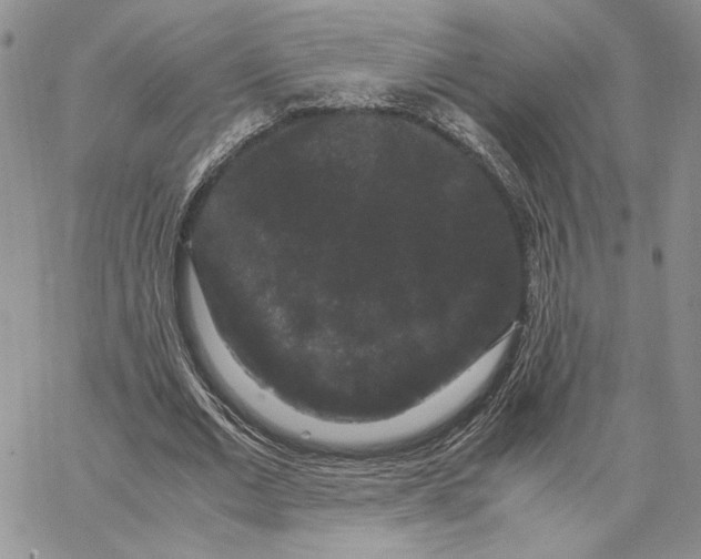 X0000062850677200602031627