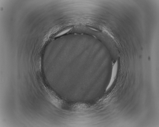 X0000062850685200602031627