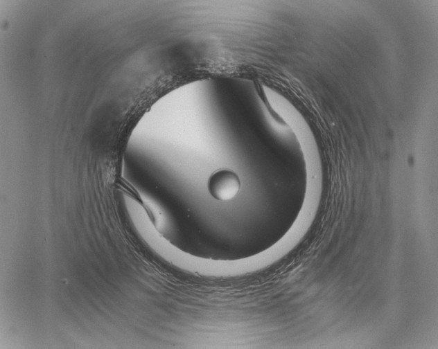 X0000062850697200602031627