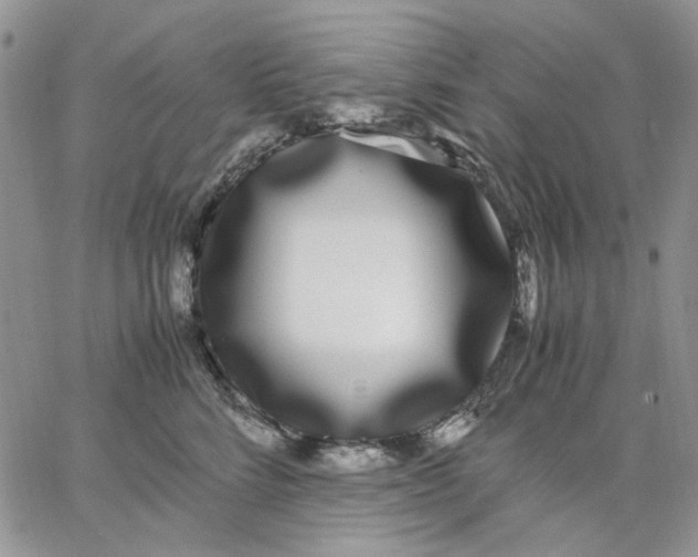 X0000062850712200602031627