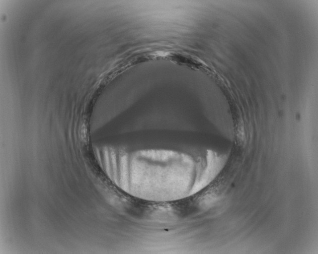X0000062850715200602031627