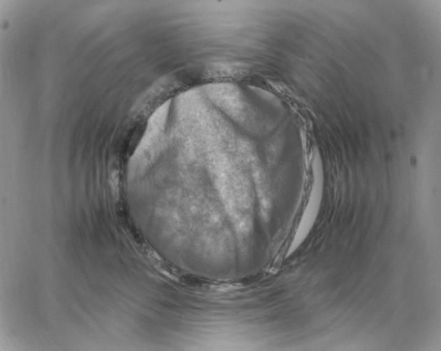 X0000062850716200602031627