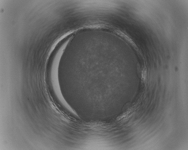 X0000062850724200602031626