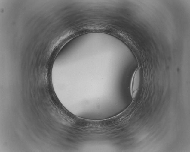 X0000062850727200602031626