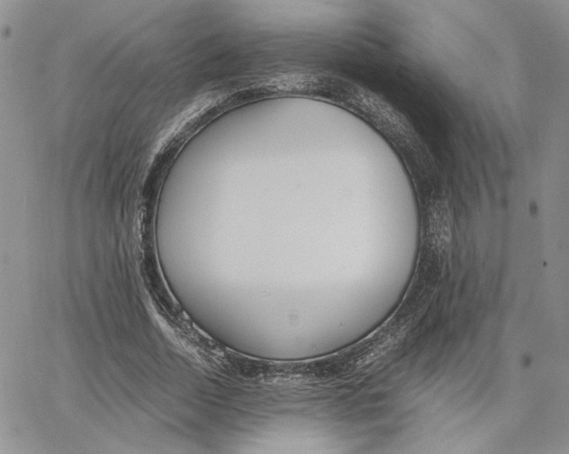 X0000062850730200602031626