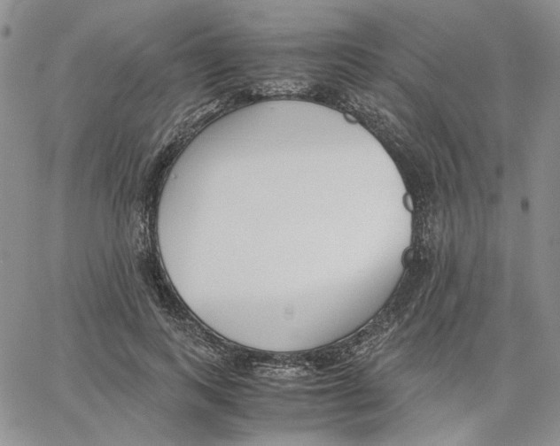 X0000062850743200602031626