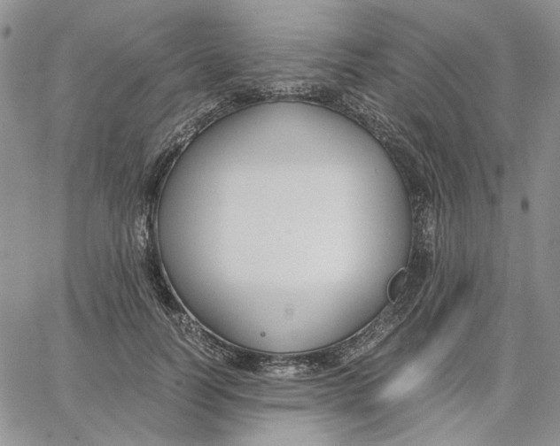 X0000062850746200602031626