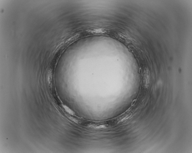 X0000062850747200602031626