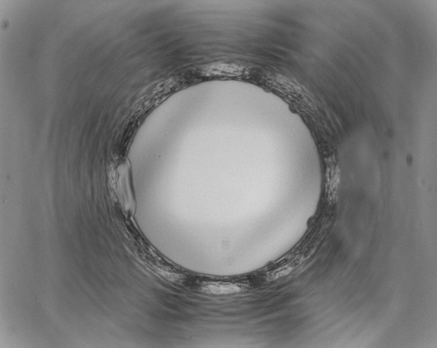 X0000062850749200602031626