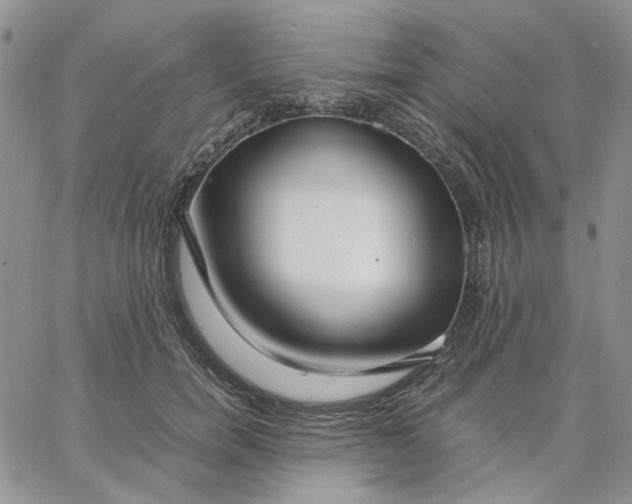 X0000062850750200602031626