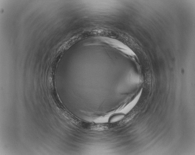 X0000062850754200602031626