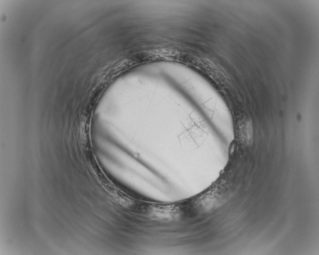 X0000062850757200602031626