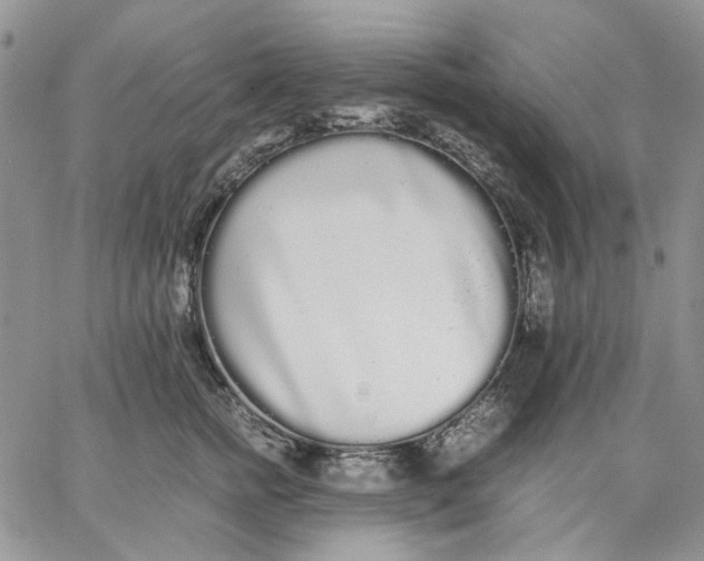 X0000062850758200602031626