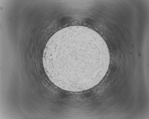 X0000062850769200602031626