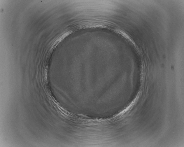 X0000062850777200602031626