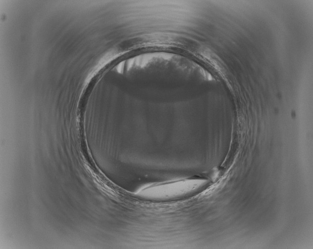 X0000062850779200602031626
