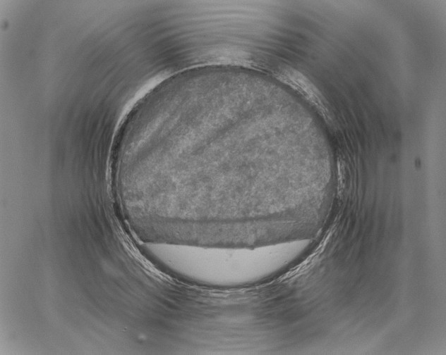 X0000062850780200602031626