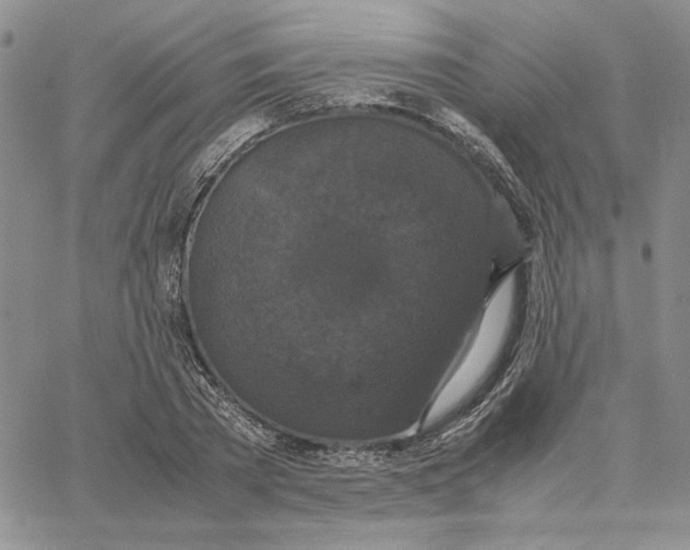 X0000062850785200602031626