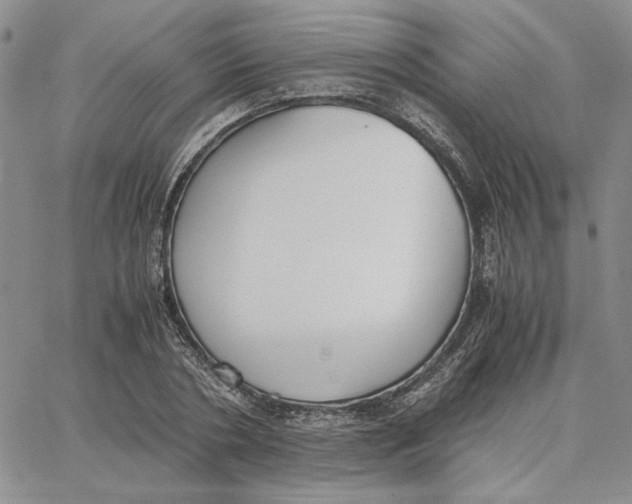 X0000062850786200602031626