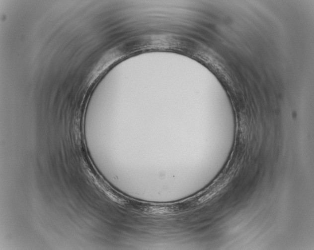 X0000062850794200602031625
