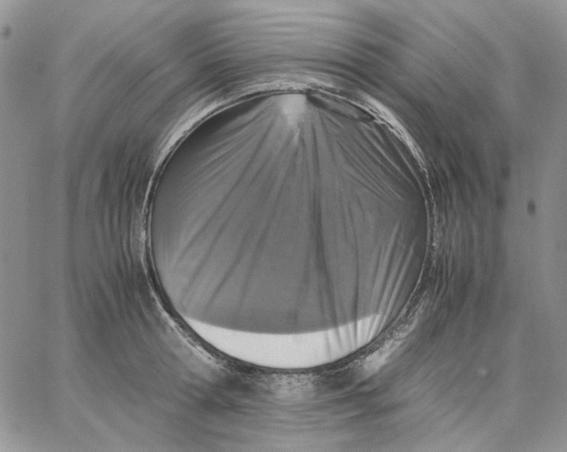 X0000062850802200602031625