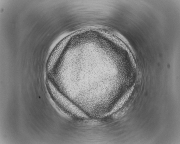 X0000062850811200602031625