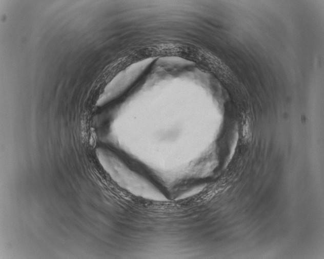 X0000062850819200602031624
