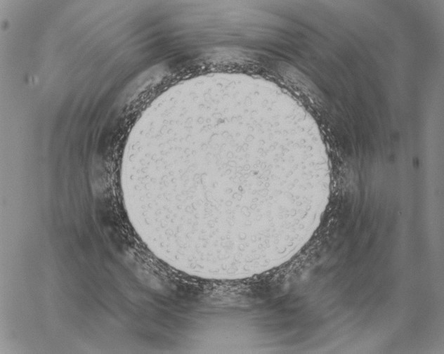 X0000062850824200602031624