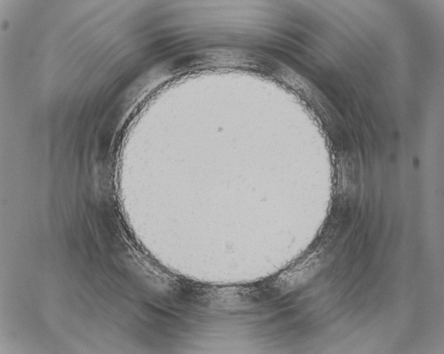 X0000062850828200602031624