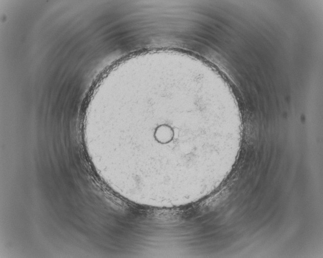 X0000062850832200602031625