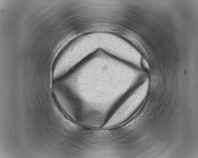 X0000062850844200602031625